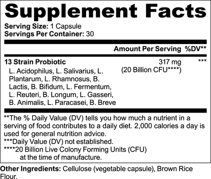 Sunny Gut Daily Probiotic 20B, 3 Bottles